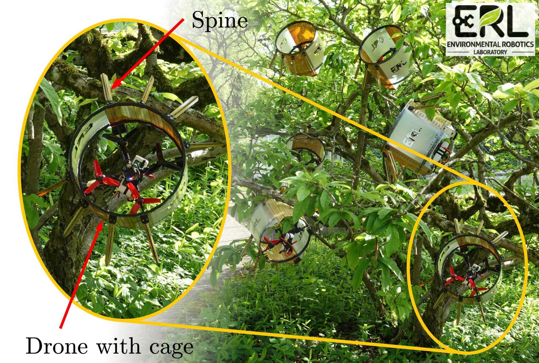 HEDGEHOG: a drone that can perch on branches