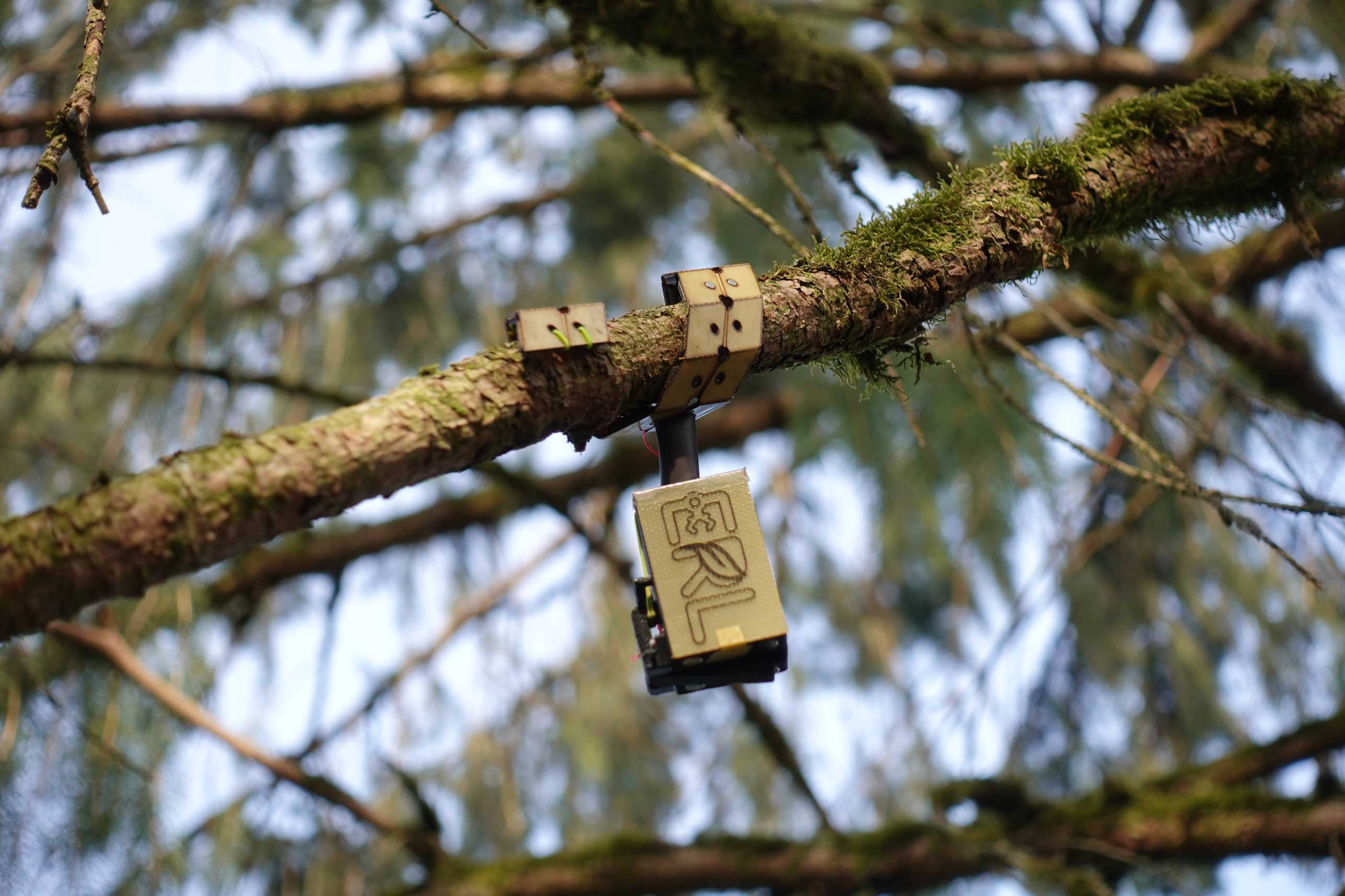 origami gripper attaching a sensor to a branch