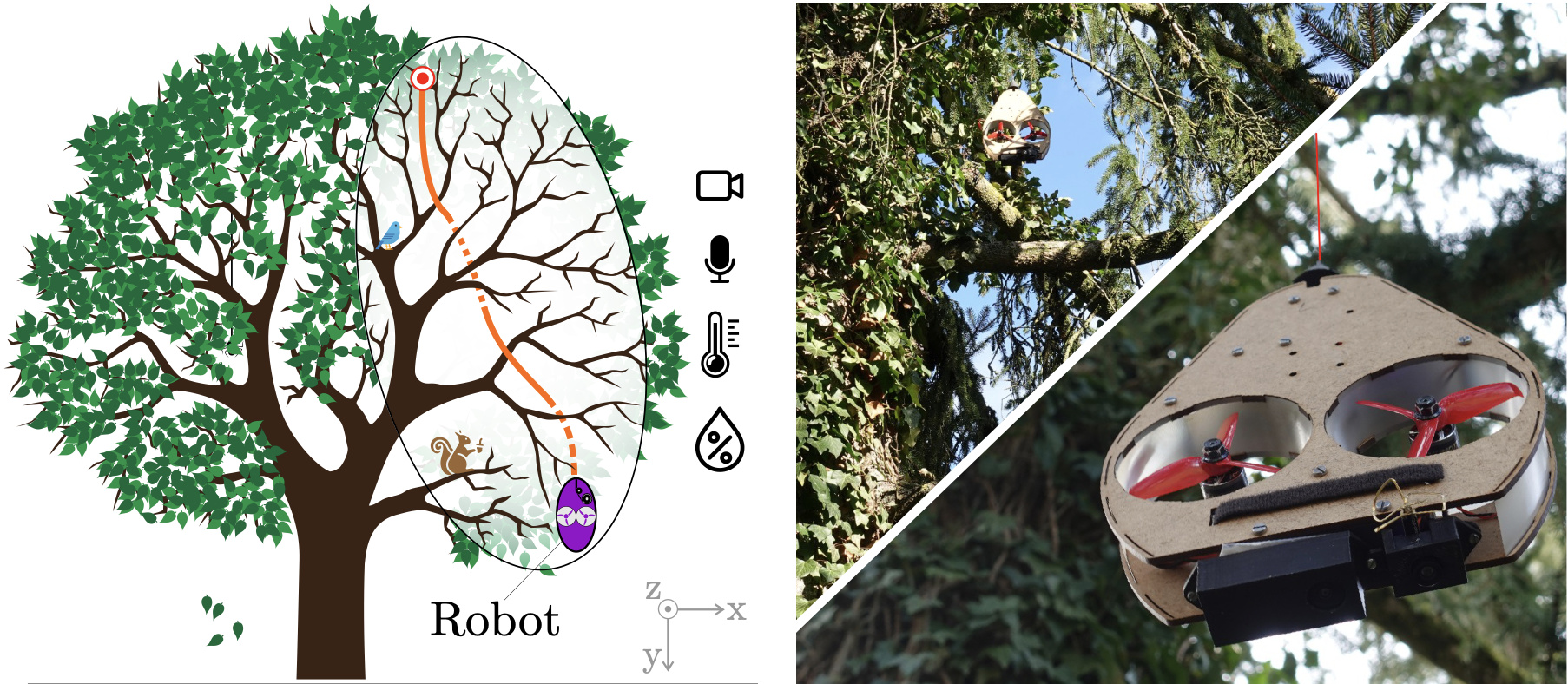 aerial tethered robot exploring tree canopies