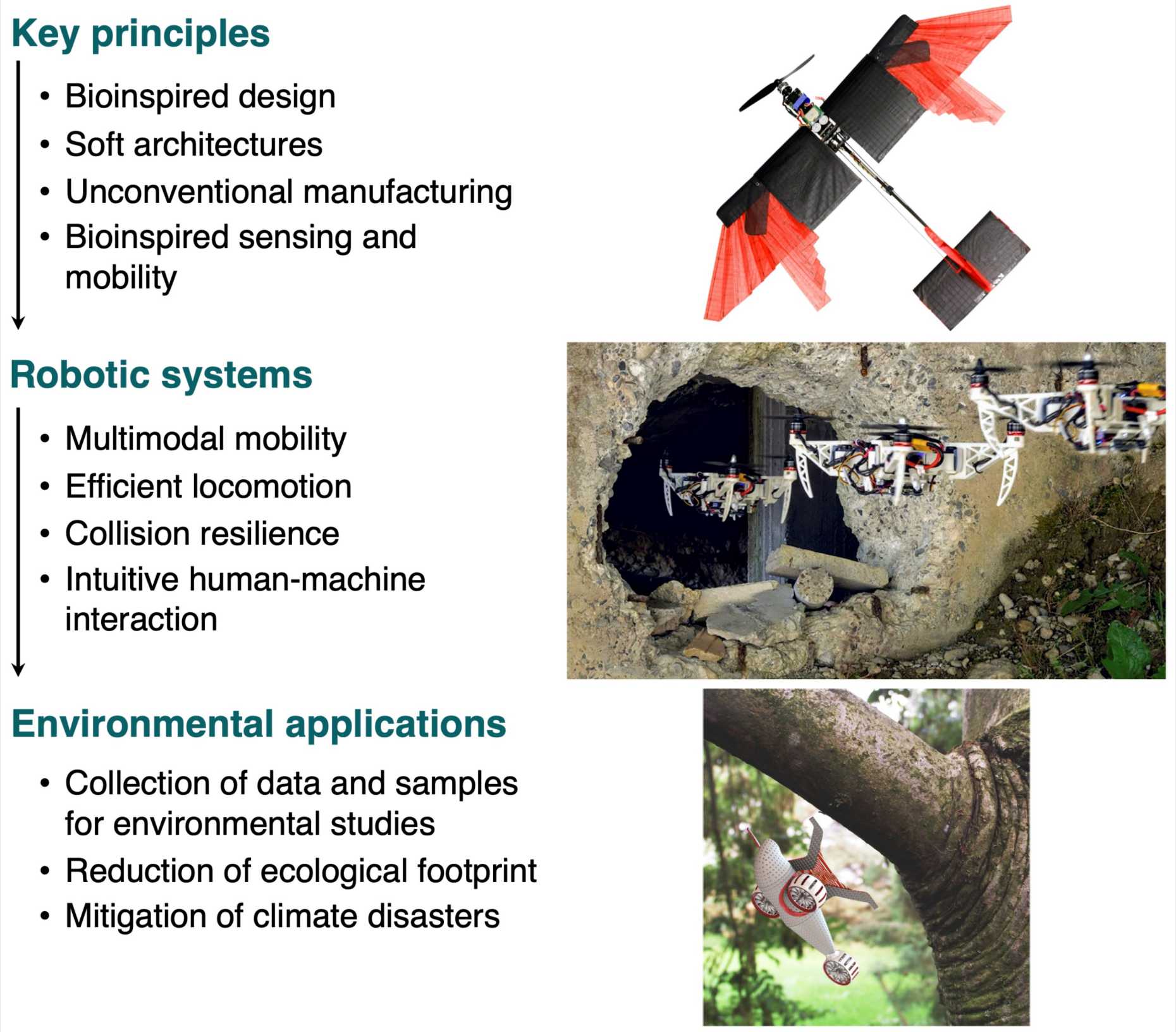 Description of the Research: Images of drones - Key principles: Bioinspired design, Soft architectures, Unconventional manufacturing, Bioinspired sensing and mobility. Robotic systems: Multimodal mobility, Efficient locomotion, Collision resilience, Intuitive human-machine interaction. Environmental applications: Collection of data and samples for environmental studies, Reduction of ecological footprint, Mitigation of climate disasters