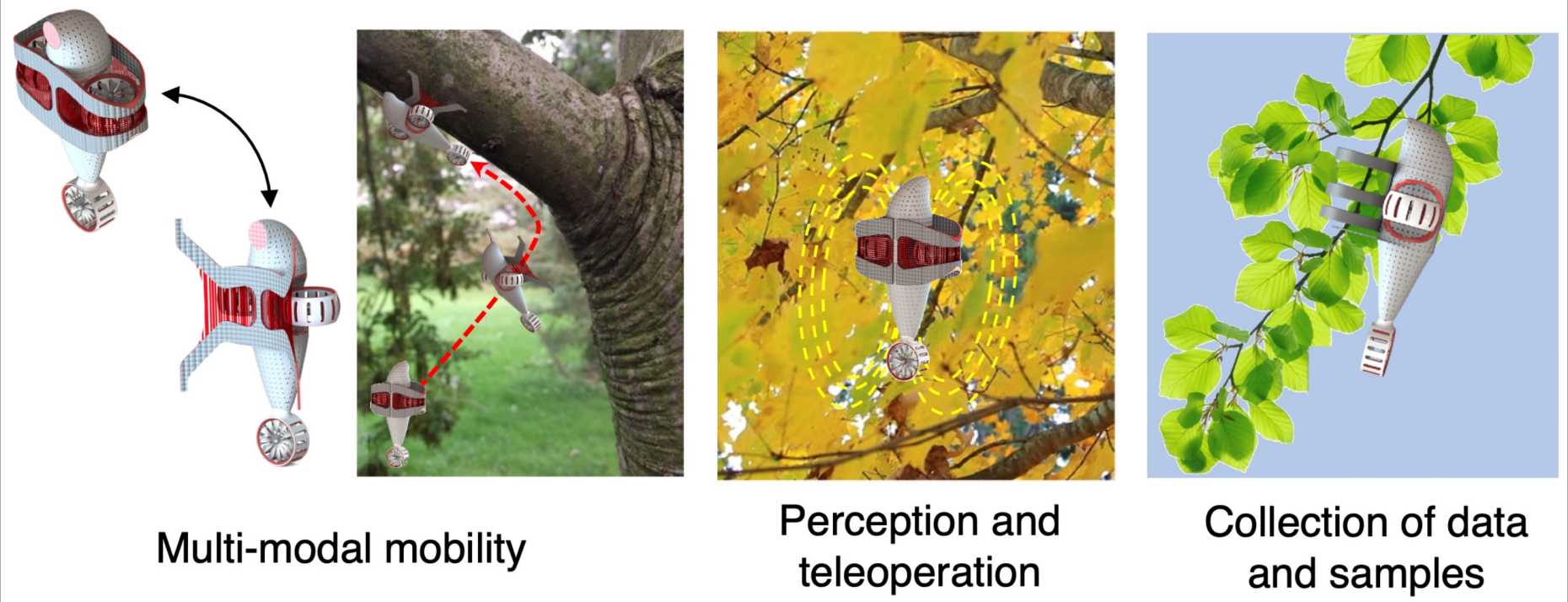 different prototypes of drones: Multi-modal mobility, Perception and teleoperation, Collection of data and samples