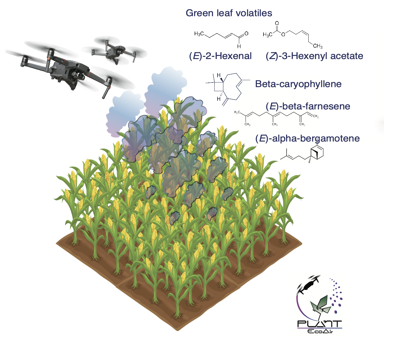 drones detecting volatiles above crops
